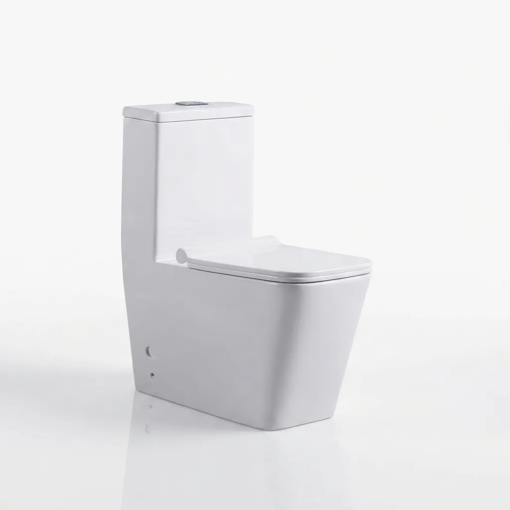 WC 6266, wc