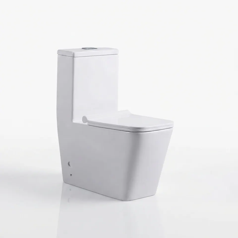 WC 6266, wc