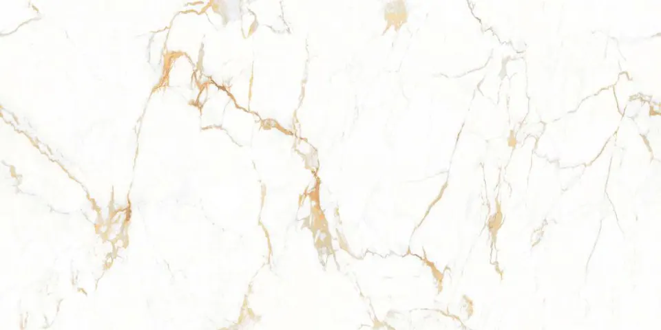 Polished tile YMP612081G, tile face